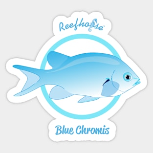 Blue Chromis Sticker